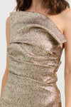 Tojha Tacoma Dress Metallic Champagne